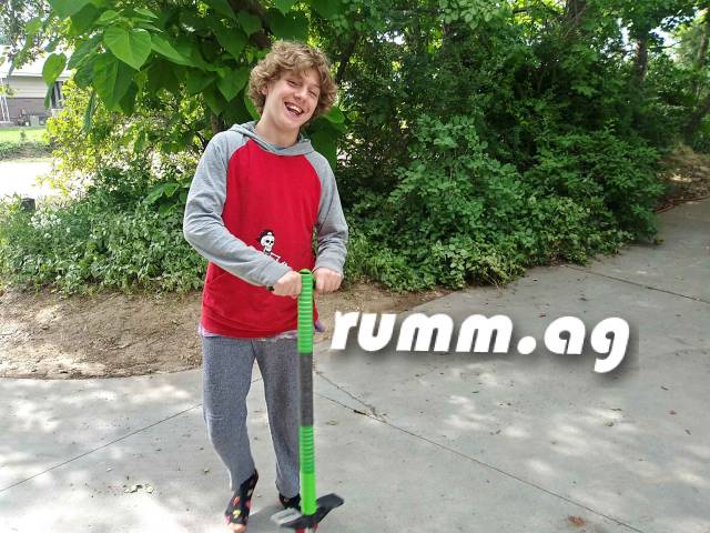 Pop-Stick pogo stick